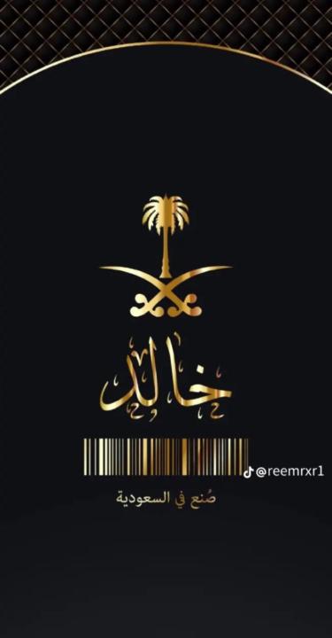 Khaled Ali