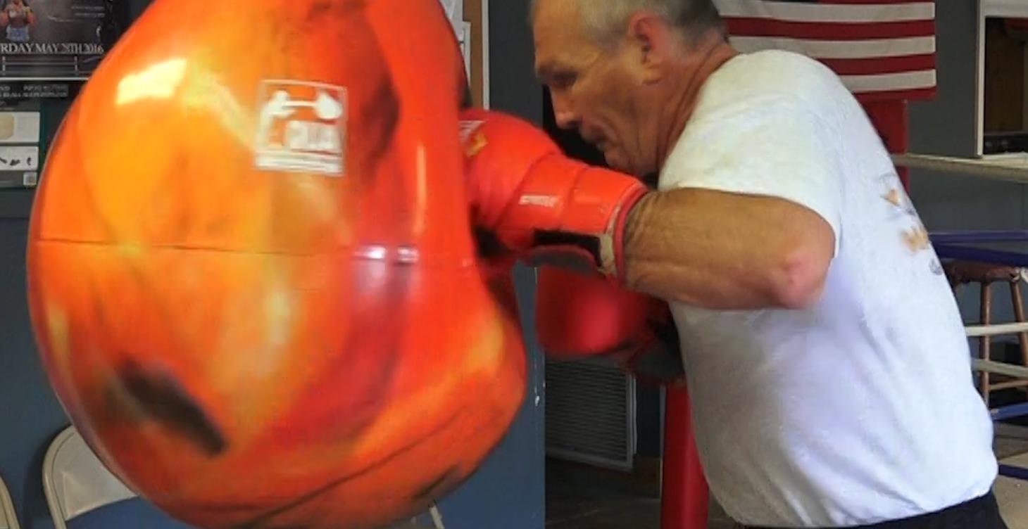 Punches, Kicks, & Technique Drills