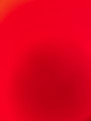 Luz Stella Dominguez collazos