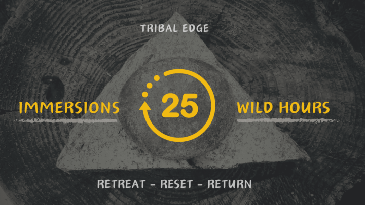 What is the Immersion Village?