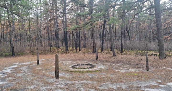 Primal Wisdom Project