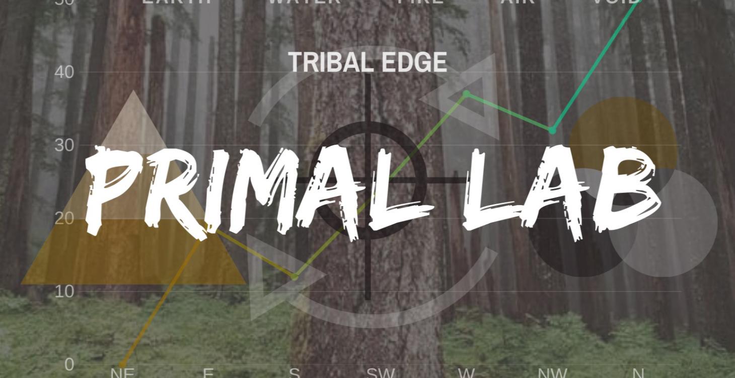 The Primal Lab