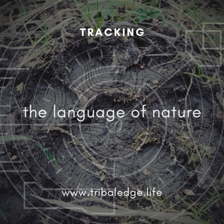 Tracking class, April 4, 2026