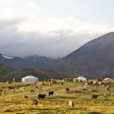 Sainjargal Altangerel