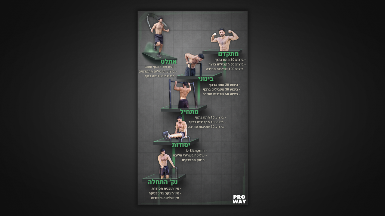 Pro Way Calisthenics
