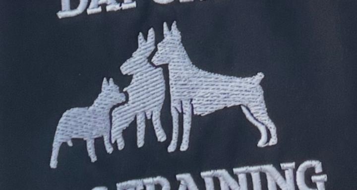 Day One Dog Training