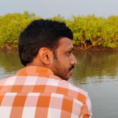 Raman Battina