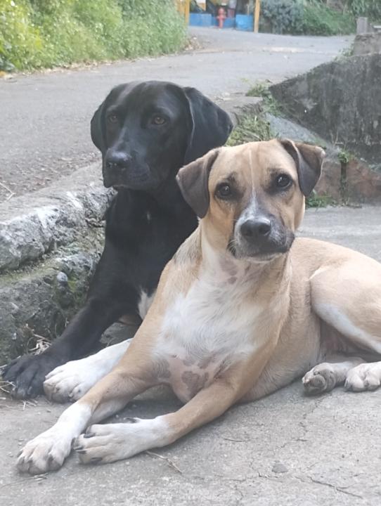 Alejandra María González Bernal