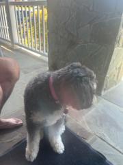 Jack Beresik