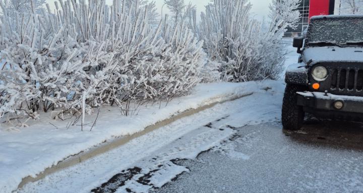 Serendipitous Adventures...