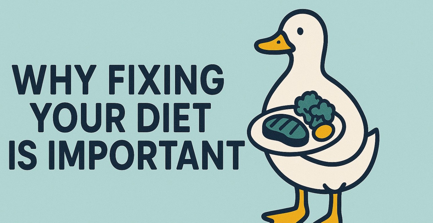 Why fixing your diet matters