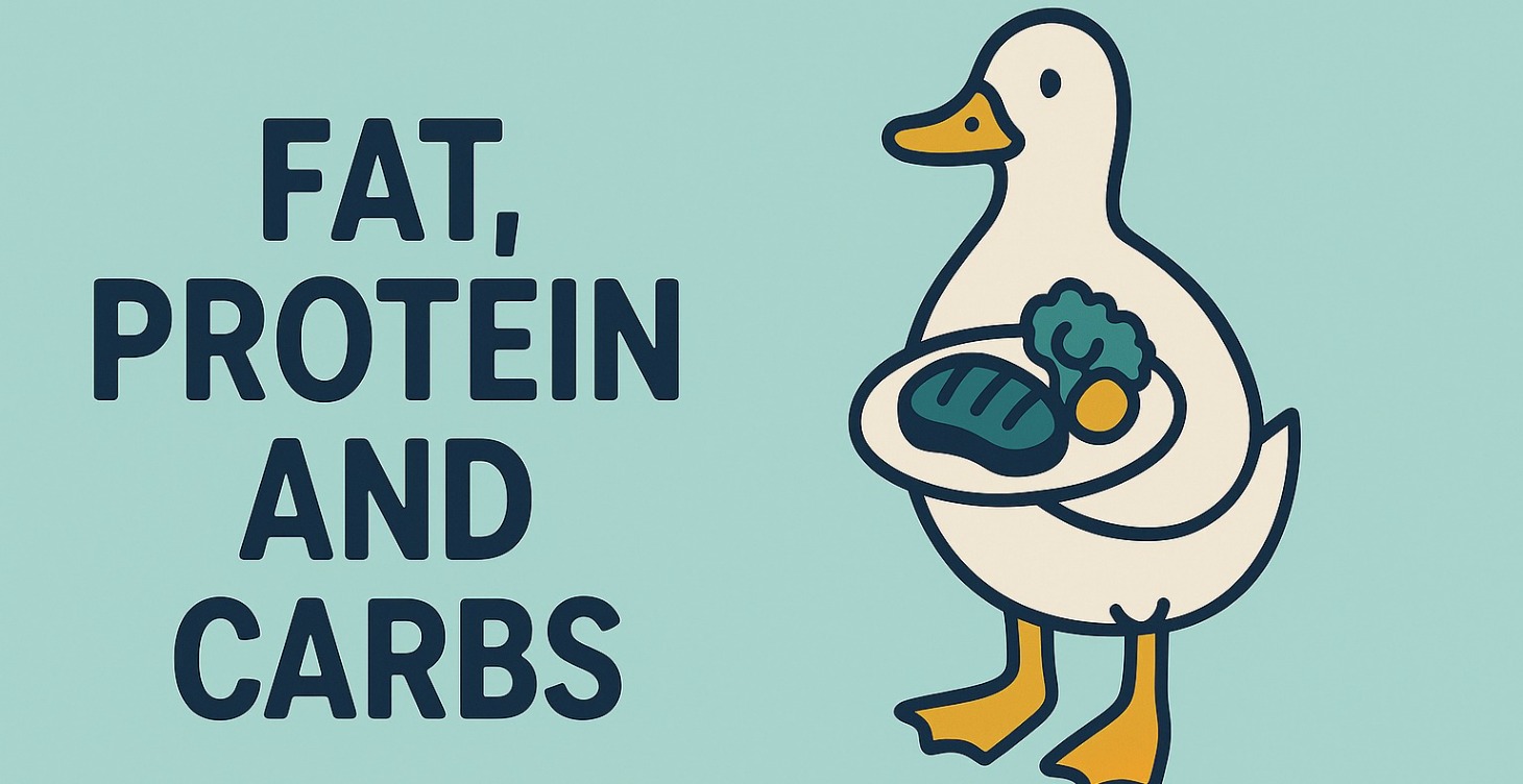 What are macronutrients and why they matter
