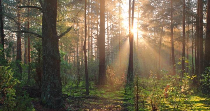 Wisdom and Spirituality