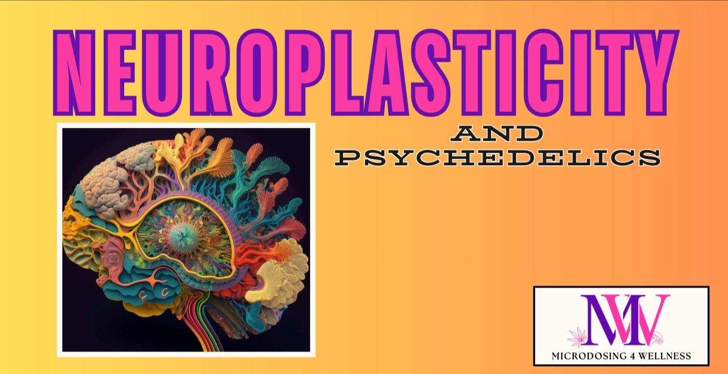 Neuroplasticity and psychedelics