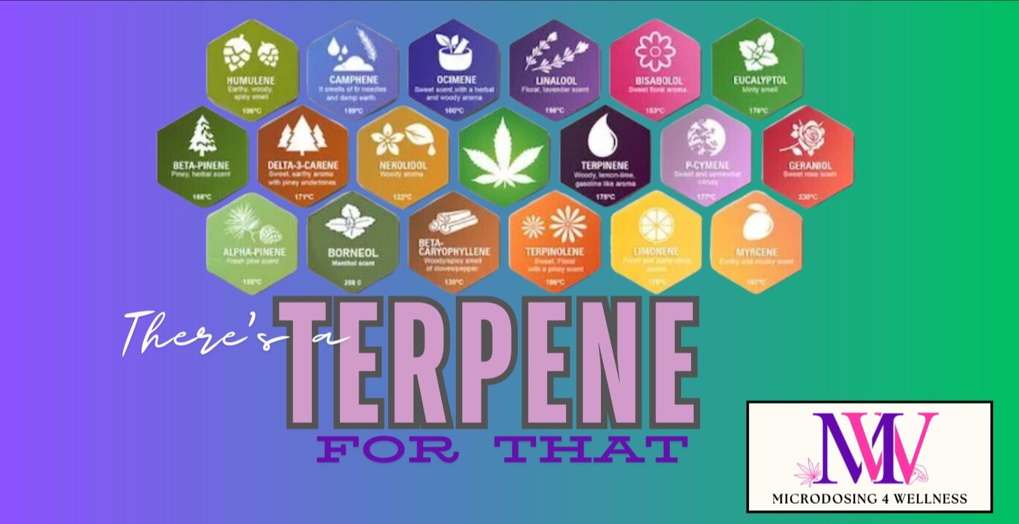 There's a Terp for That! Understanding TERPENES