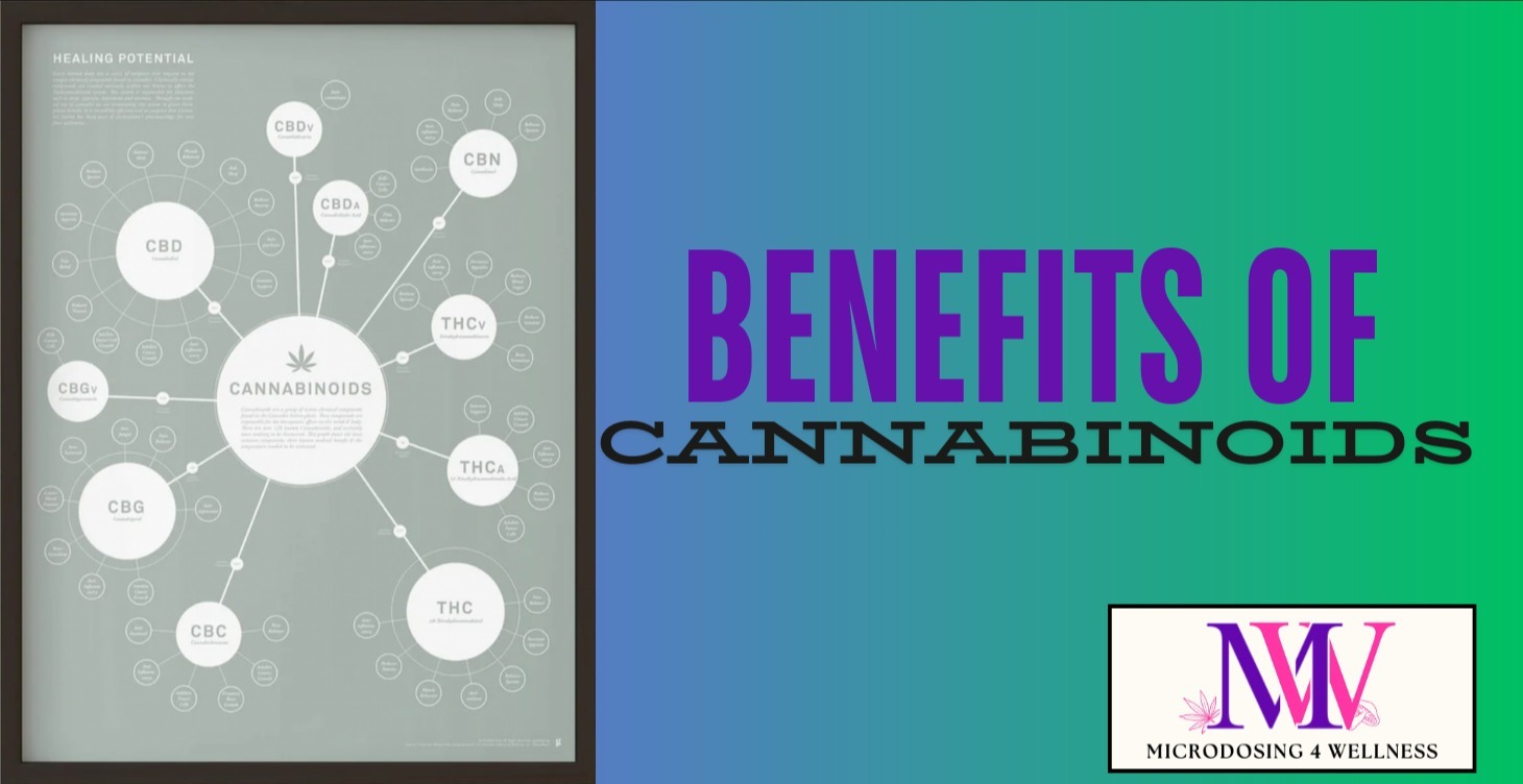 Cannabinoids- THC, CBD, CBN- oh my!