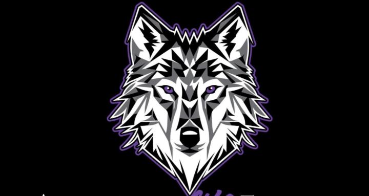 ALPHA ELITE FITNESS