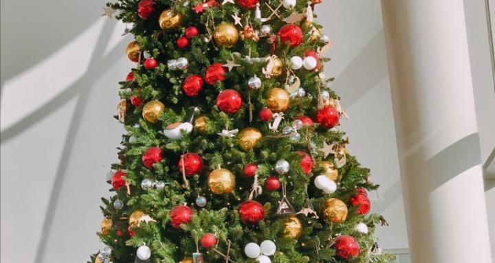 Personal life advice