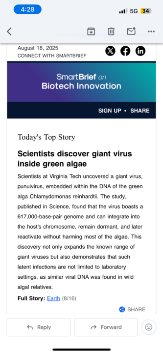 Giant Virus