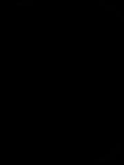Mo Yacub