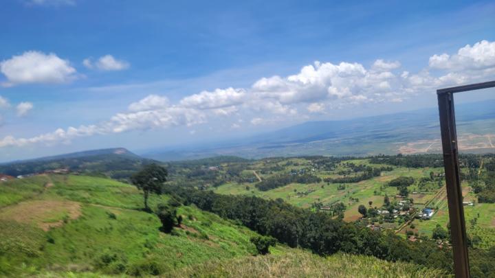 Tallia Saida