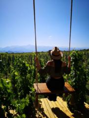 Valentina Castro Sombra