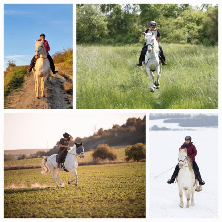 Anne-Barbara Bernhard