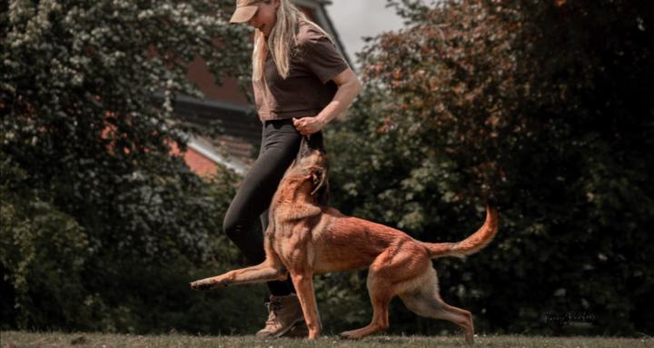 Girls Just Want To Train Dogs