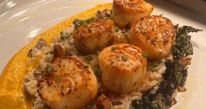 What Can I Do With…!?