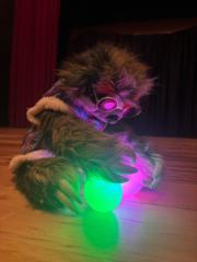 Javier Alejandro Pérez Caicedo