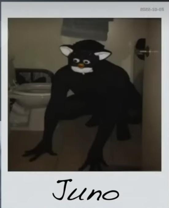 Tim IchHabeMeineNachnamenVergessen