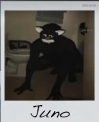 Tim IchHabeMeineNachnamenVergessen