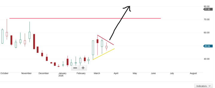 Next stock pick Is $UVXY 
