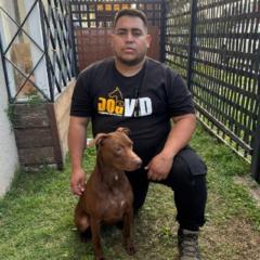 David Urbina