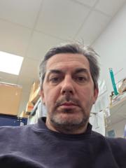 Balázs Rávai