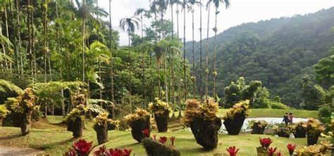 Vidotto Siarri Elodie