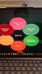 Renuka Sharma Dhanduka