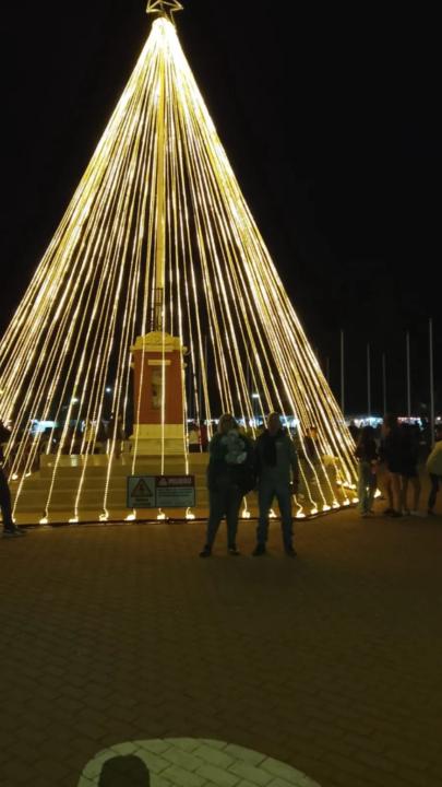 Deolinda Luisa Busto