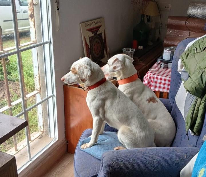 Maria José Sánchez