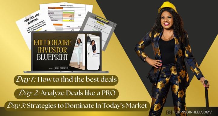 Millionaire Investor Blueprint