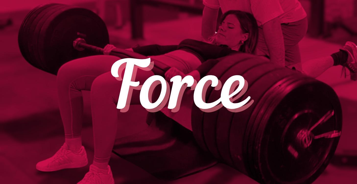 Force - 3e programme