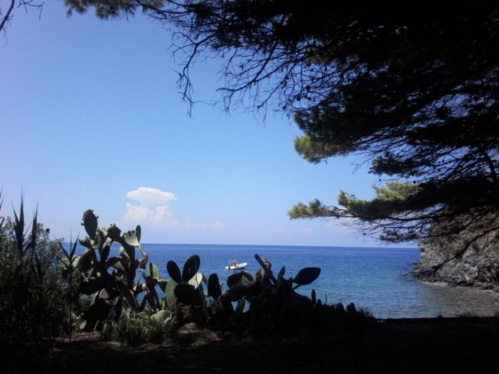 Maria Grazia Tramontano