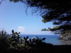 Maria Grazia Tramontano