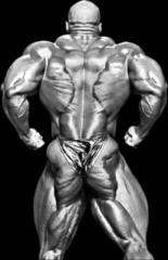 Gregor Bryan