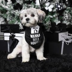 Valerie Small-richards