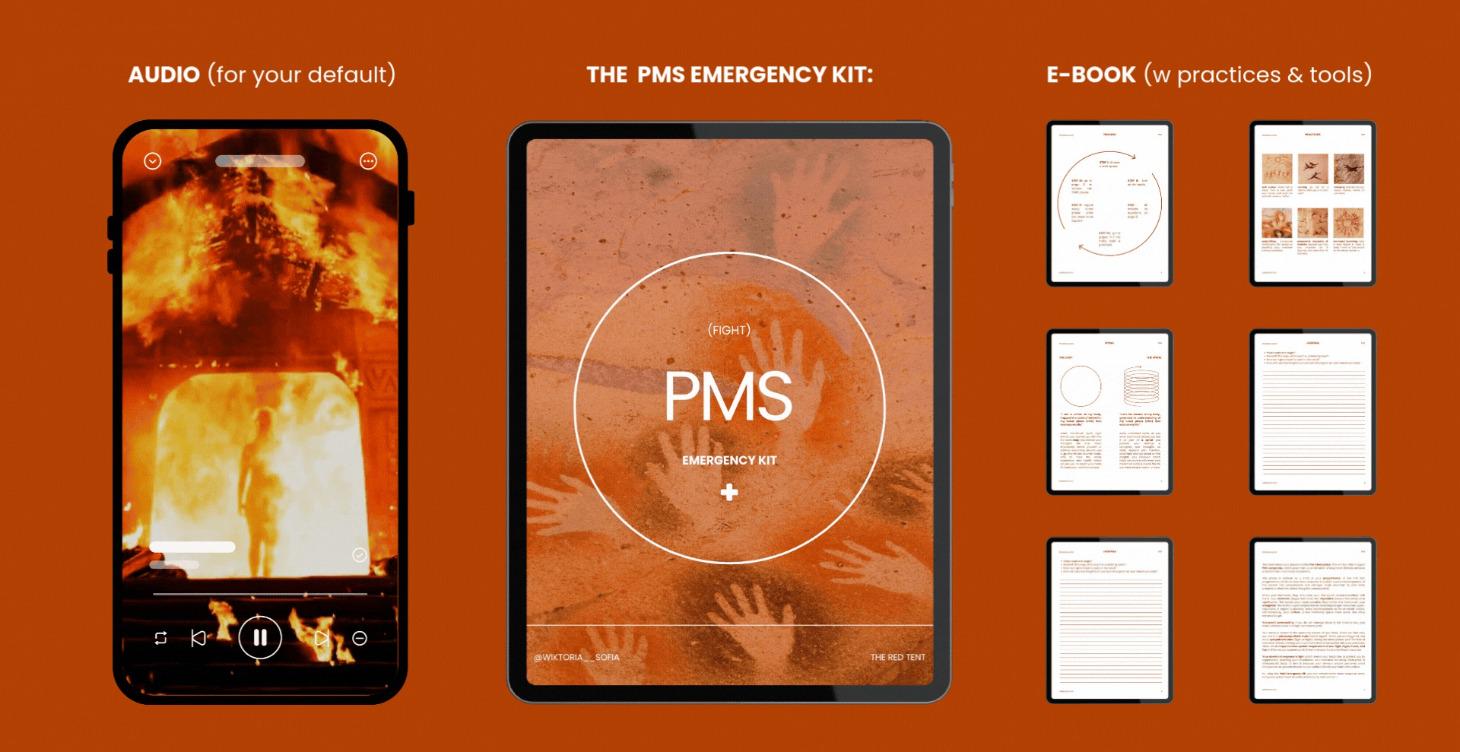 PMS: EMERGENCY KIT +