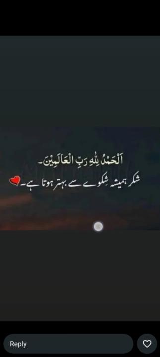 Zain Ali