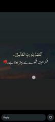 Zain Ali