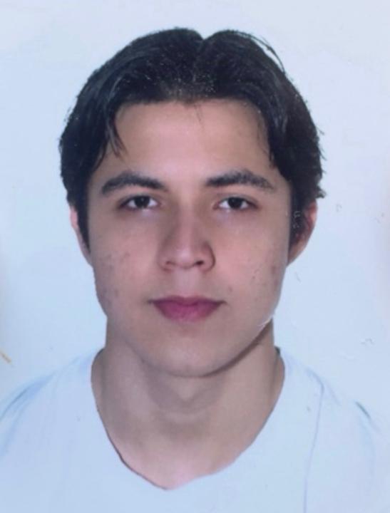 Christopher Alessandro Carreño Licciardello