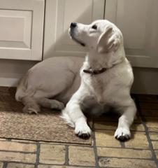 Claus Lundbæk Ottosen